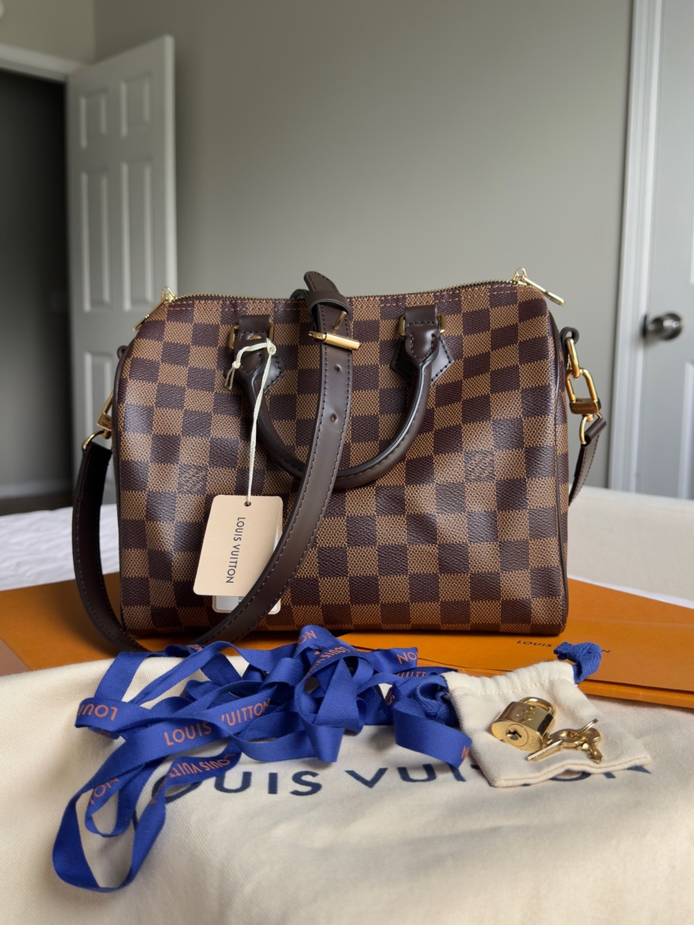 Louis Vuitton Damier Ebene Speedy Bandoulière 25